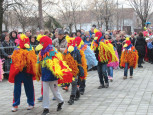 Golubinačke mačkare