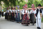 Duhovski ophod kraljica kod bunjevačkih Hrvata