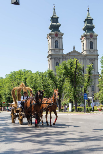 Gradska dužijanca: središnja proslava - Dužijanca 2022
