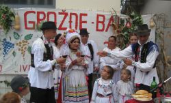 grozdjebal u sonti
