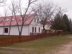 djurdja adlesic 3