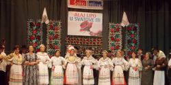hrvatske podunavske udruge sokadija