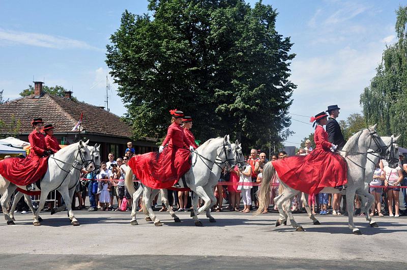 Bodorg fest 2018