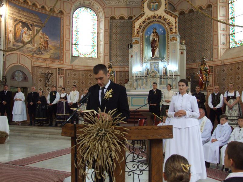 dužijanca tavankut