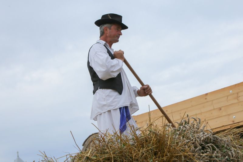 takmičenje risara