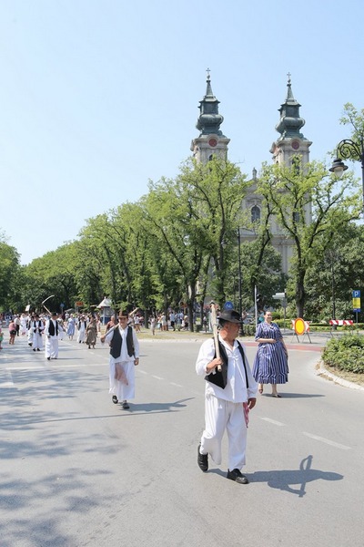 dužijanca 2019 sl2