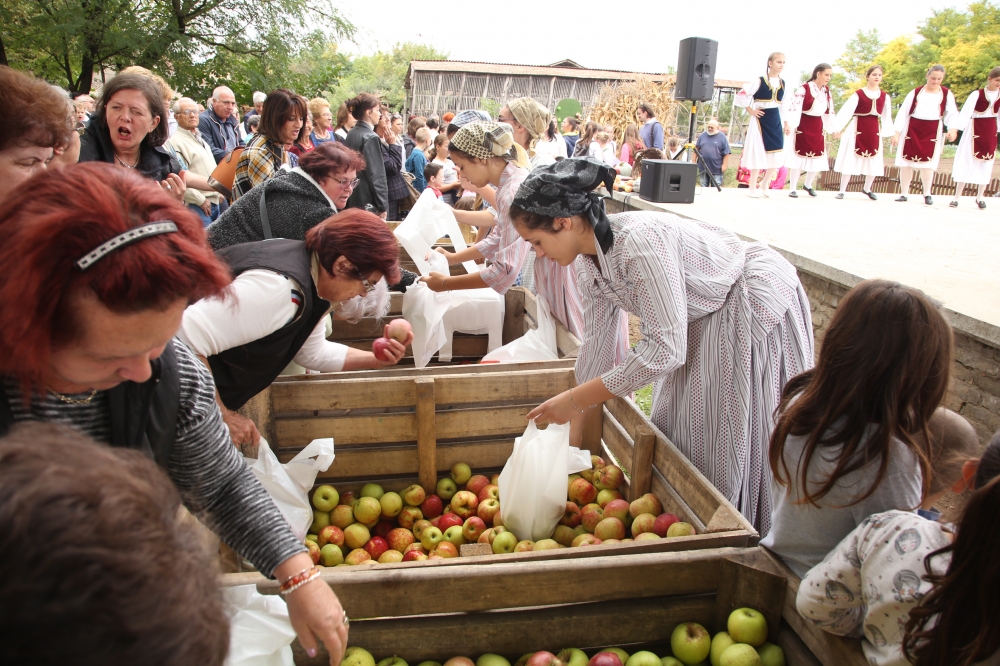 festival voca Tavankut