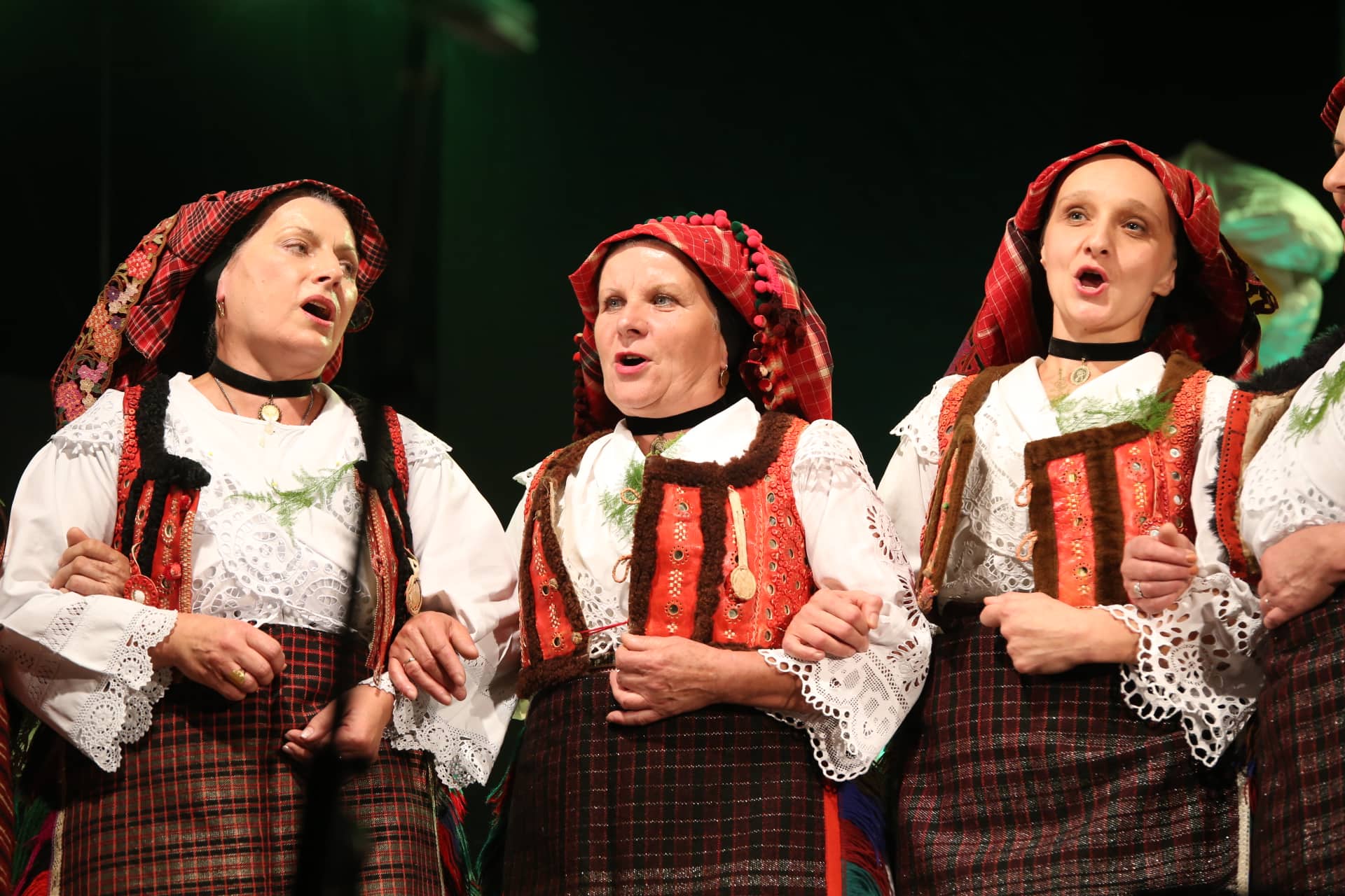 festival tradicijskog pjevanja...</div>
                            <a href=