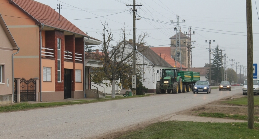 vasica