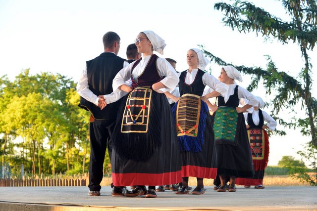 tavankut koncert
