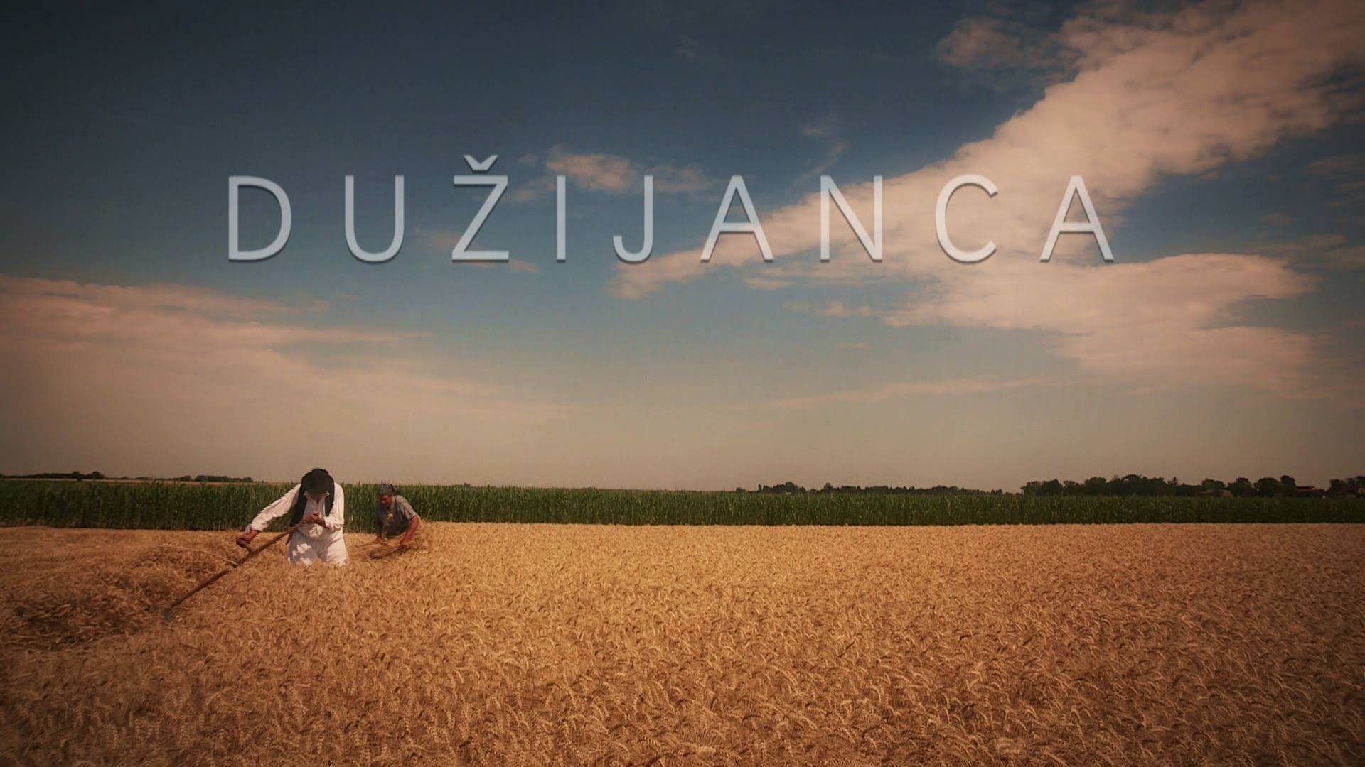najava ciklusa hrv filma Duzijanca 1