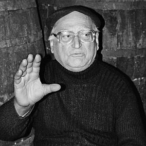 Branko Fucic