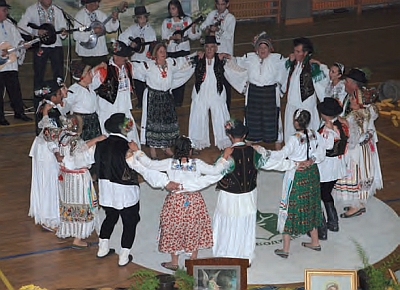 zavitnidan2011-1