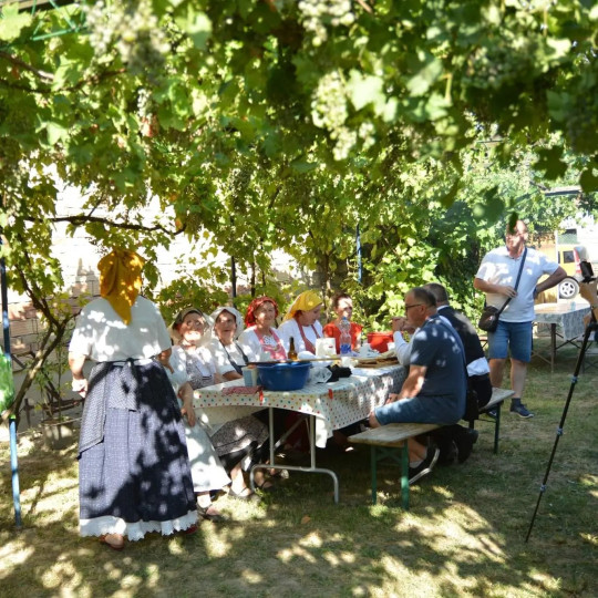 Gastronomski susret u Baču