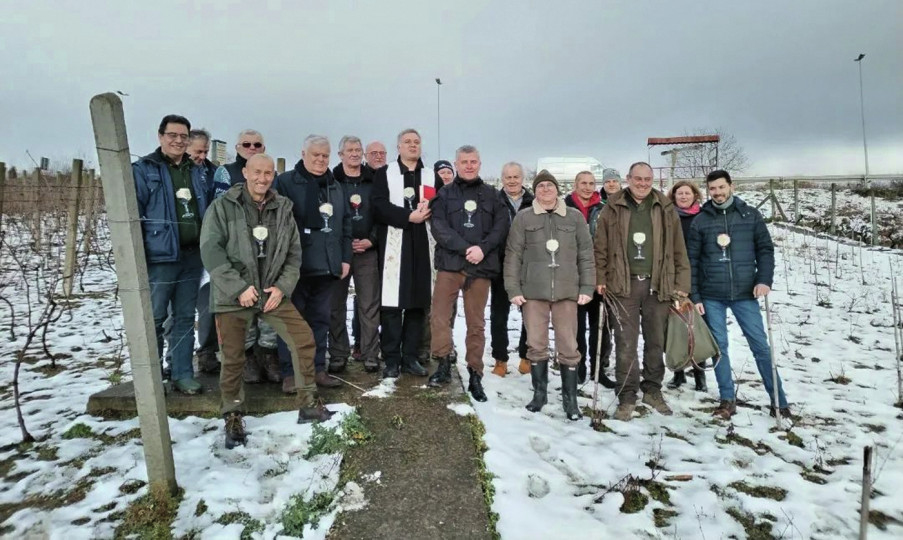 Blagdan Svetog Vinka u Petrovaradinu