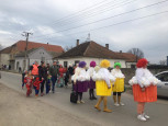 Održan karneval u sklopu Golubinačkih mačkara