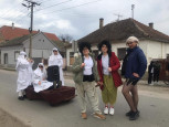 Održan karneval u sklopu Golubinačkih mačkara